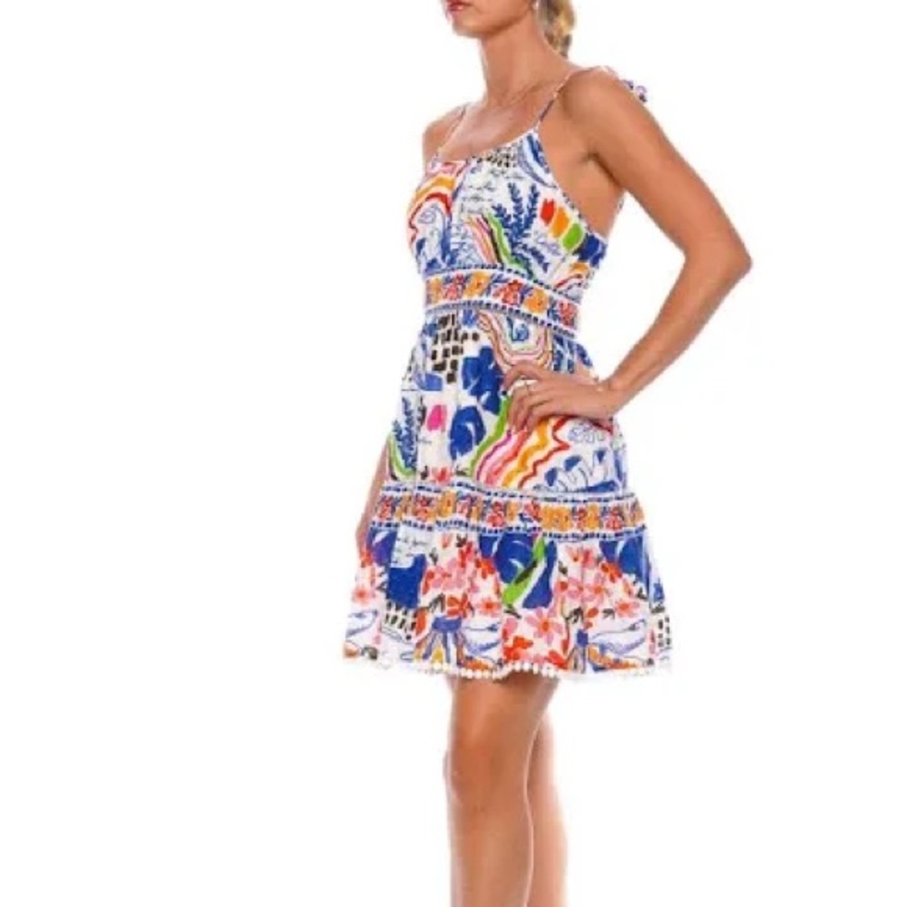 Farm Rio Wild Brazil Tie Shoulder Mini Dress Size XL